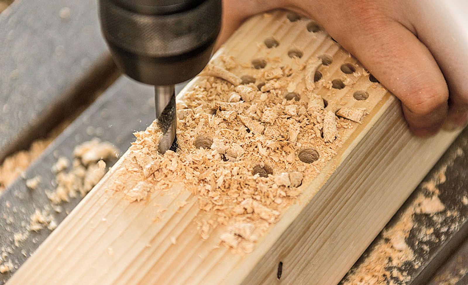 Titelseite -MASCHINENPROFI Verkäufe f5